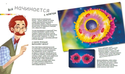 X и Y, девочка или мальчик?
