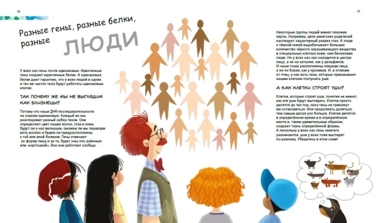 X и Y, девочка или мальчик?