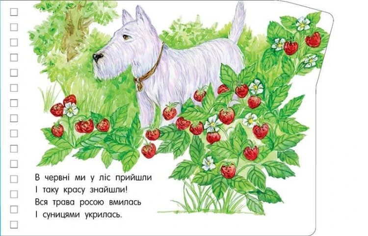 Пори року