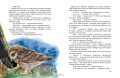 Совеня, яке водило на прогулянки луну