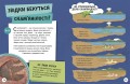 ДОВКОЛАПИТАНЬ. Енциклопедія юних розумників