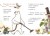 Флейтовий переполох. Книга 4
