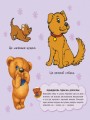 Величина