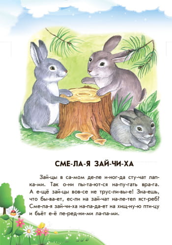 Лесной концерт