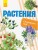 Растения