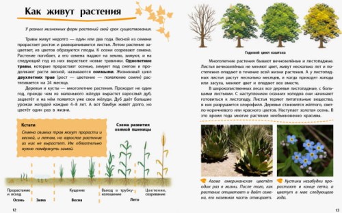 Растения