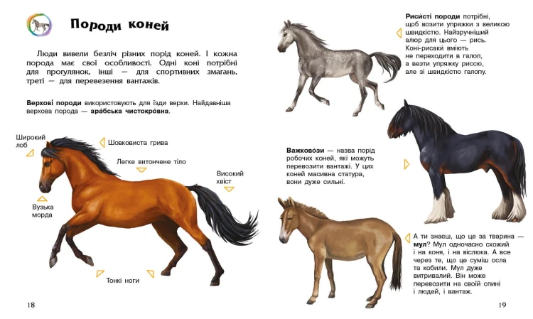 Коні