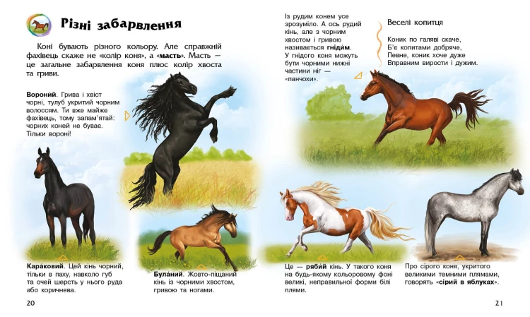 Коні