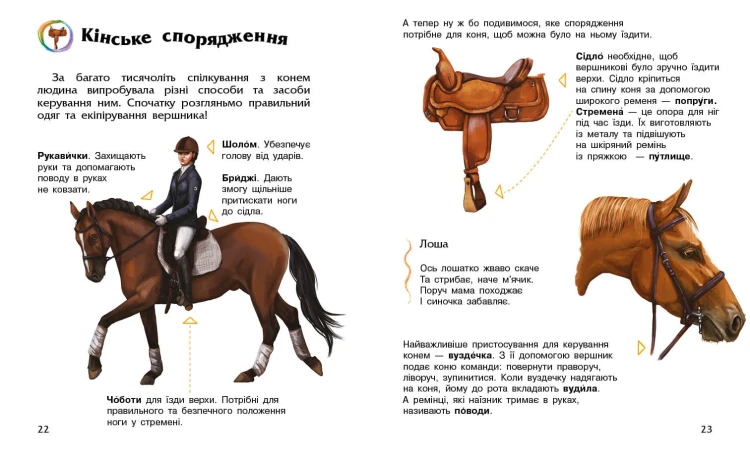 Коні