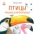 Птицы разные и прекрасные