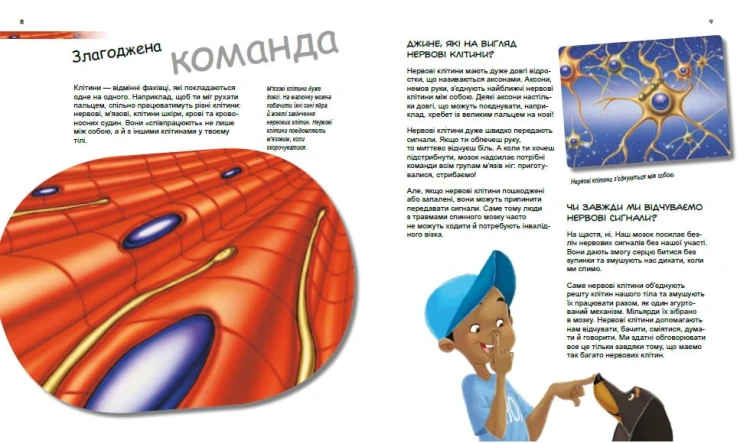 Дивовижний світ клітин