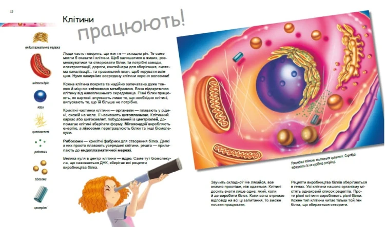 Дивовижний світ клітин