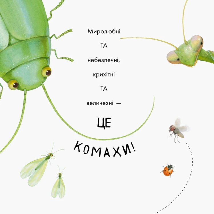 Знайомі комахи