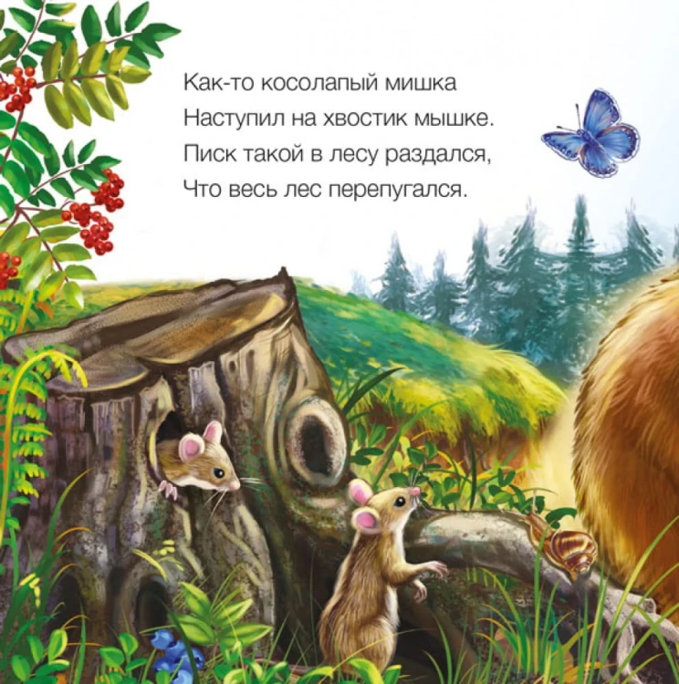 Медвежонок