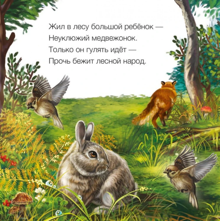 Медвежонок