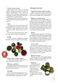 Коли Новий Рік на порозі : Новорічний маскарад