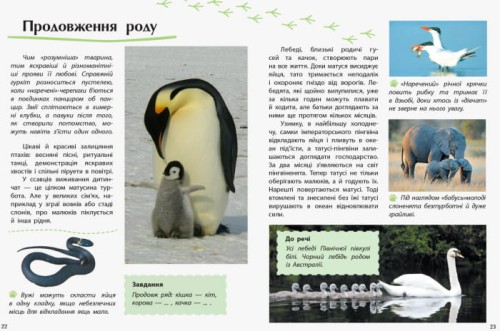 Животные
