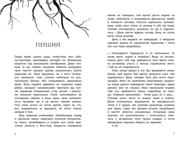 Провідник