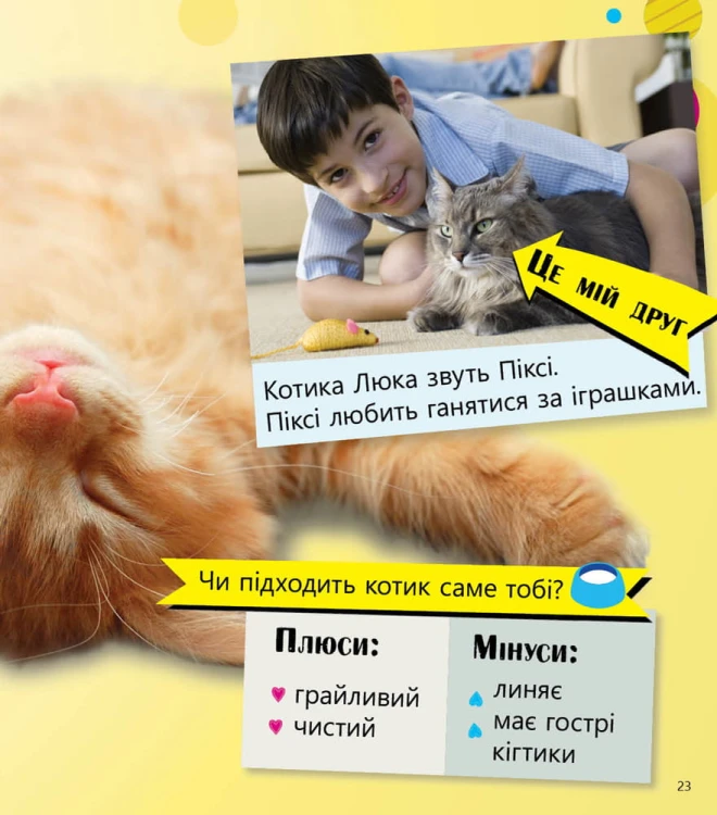 Домашні улюбленці і не тільки… Рівень 5