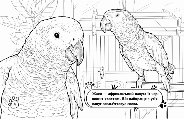 Тварини в оселі