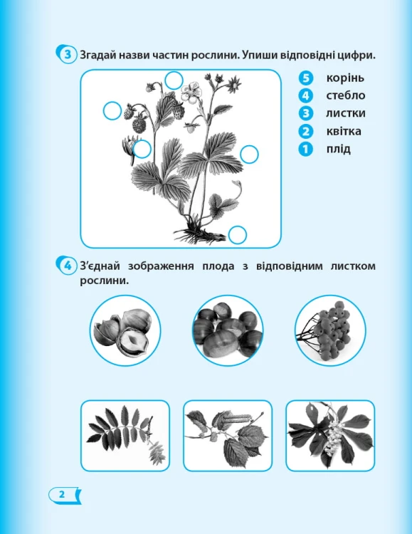 НУШ 1 кл. Я досл. світ Роб.зошит 2 частина (у 2-х ч.) до підр. Гільберг Т.В. та ін.