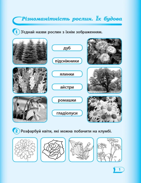 НУШ 1 кл. Я досл. світ Роб.зошит 2 частина (у 2-х ч.) до підр. Гільберг Т.В. та ін.