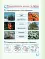 РЗ Я досліджую світ. 1 кл. у 2 ч. Ч. 2. До підр. Гільберг