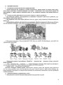 Розробки уроків. Математика 2 клас. Частина 1 (за підручником С. О. Скворцової, О. В. Онопрієнко) ПШМ234