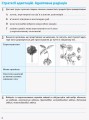 Біологія і екологія (рівень стандарту). 11 клас. Робочий зошит