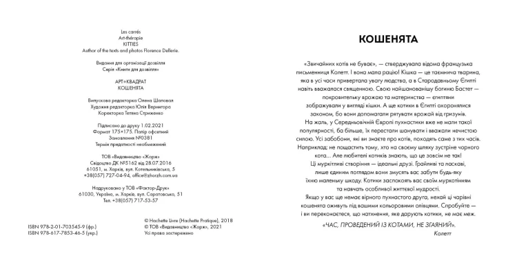 Арт-квадрат. Кошенята