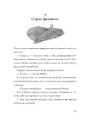 Останниця. Перша серед усіх_кн.2
