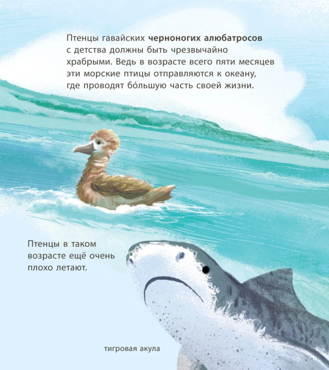 Удивительные детёныши животных