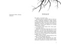 Порушники. Книга 2