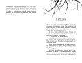 Порушники. Книга 2