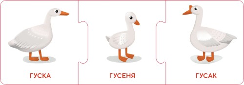 Логічні ланцюжки. Малюки тварини та їхні родини