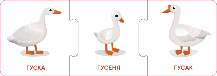 Логічні ланцюжки. Малюки тварини та їхні родини