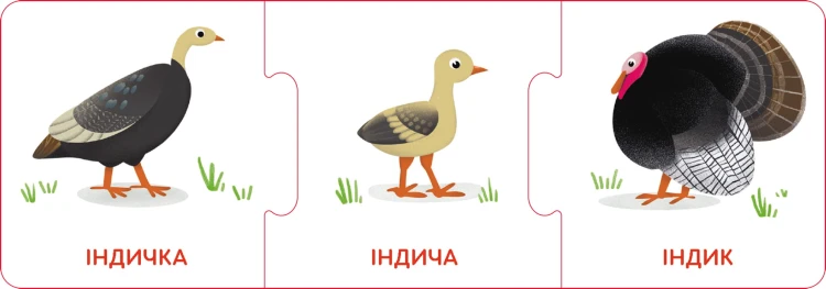 Логічні ланцюжки. Малюки тварини та їхні родини