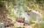002.webp
