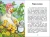 003.webp