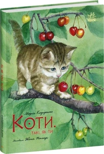 Коти. Такі, як ти