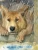 005.webp