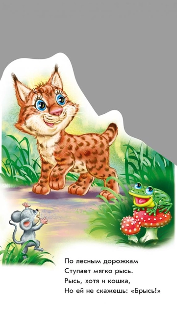 005.webp