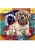 004.webp