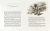 002.webp