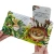 002.webp