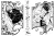 005.webp