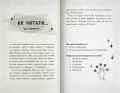 3.webp