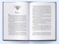 Попіл і Місячне Сяйво. Книга 3 3.jpg