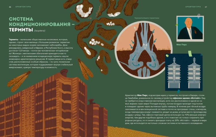 Дикие изобретения. 40 технологий, подаренных нам природой