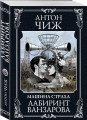 Лабиринт Ванзарова